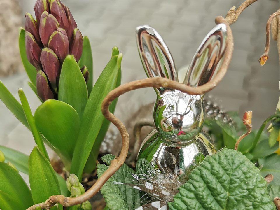 Garten & Floristik Prifling