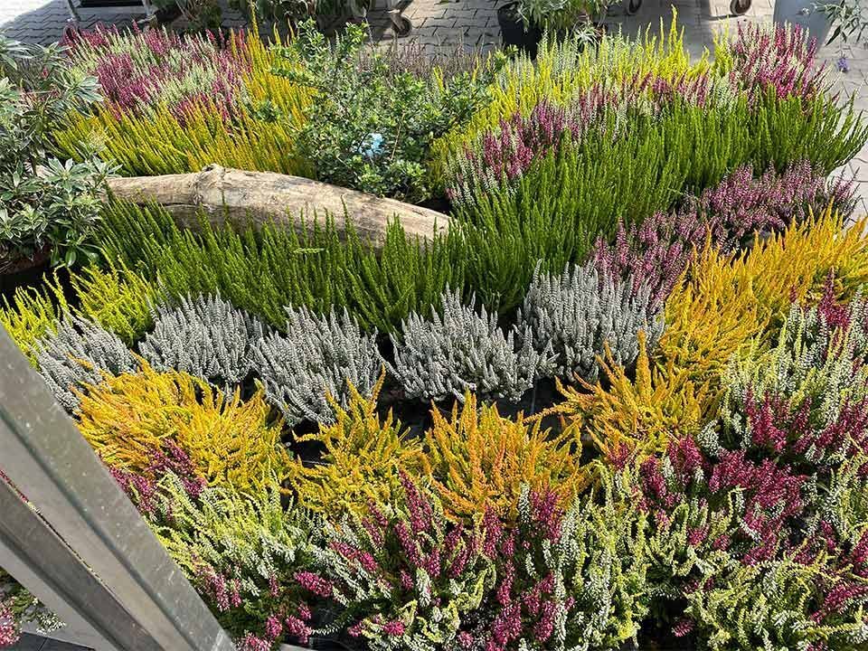 Garten & Floristik Prifling