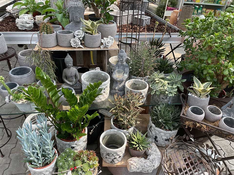 Garten & Floristik Prifling