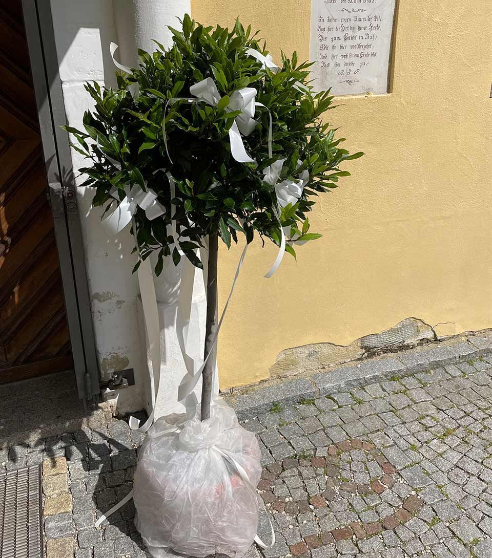 Garten & Floristik Prifling