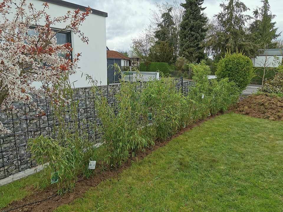 Gartenpflege Garten & Floristik Prifling