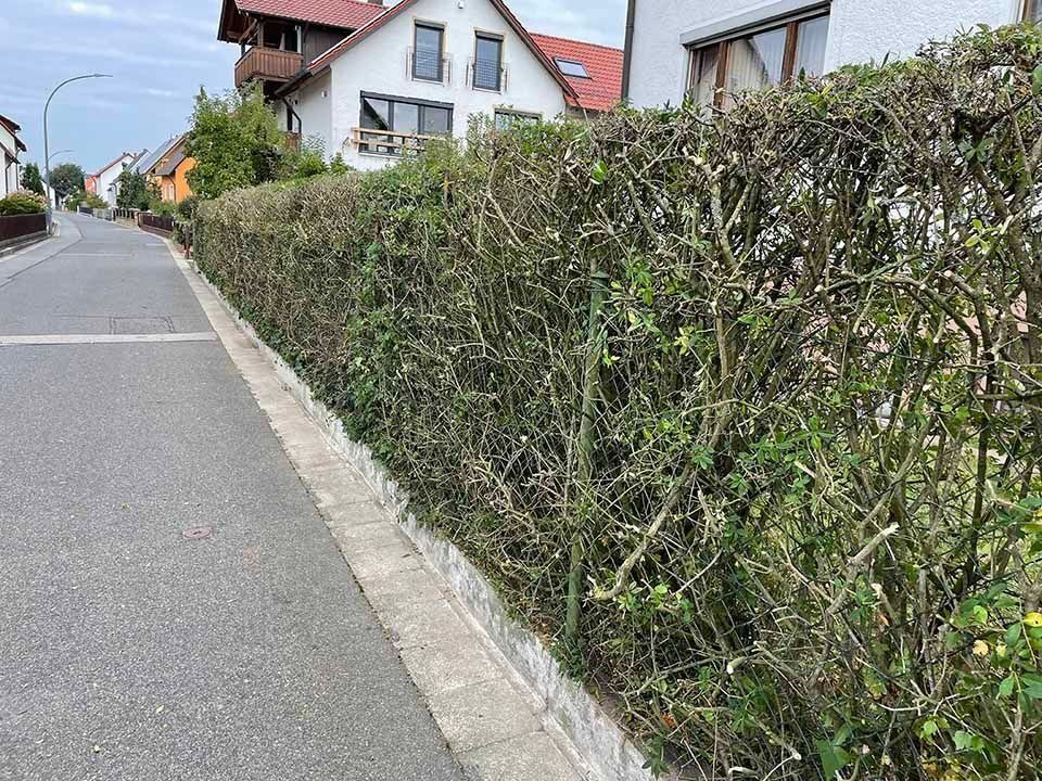 Gartenpflege Garten & Floristik Prifling