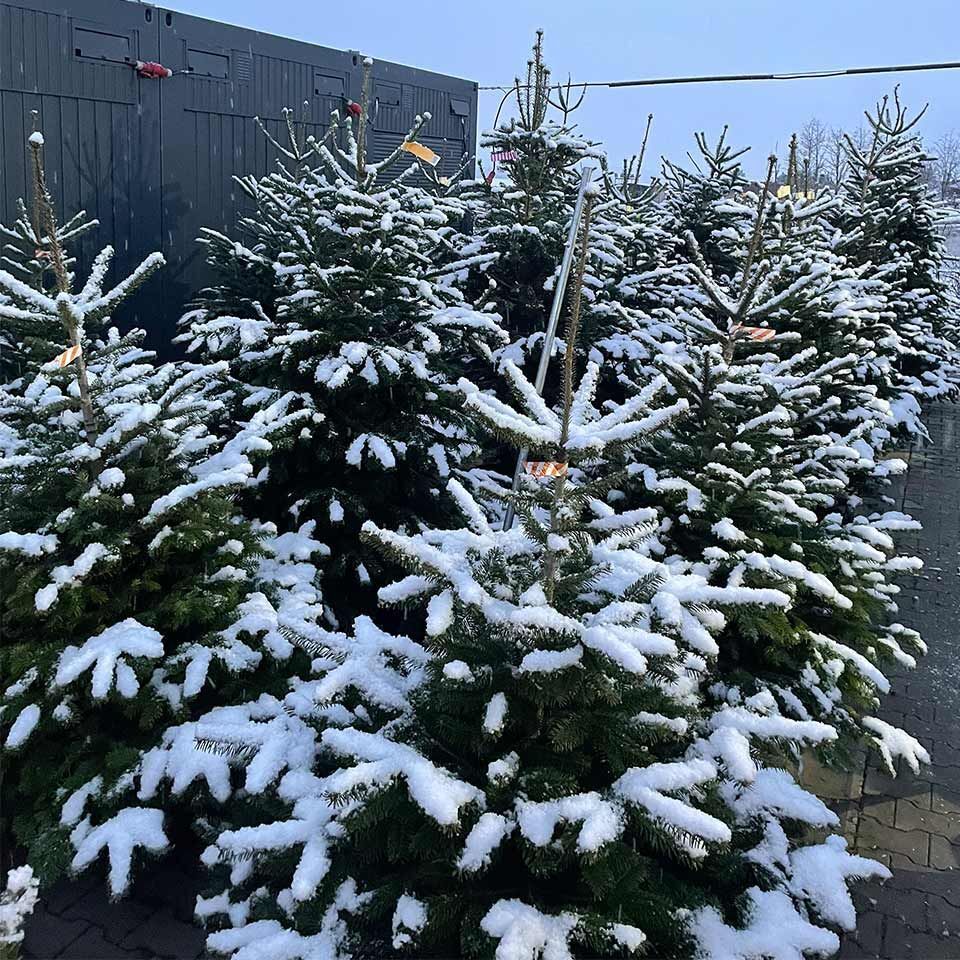 Garten & Floristik Prifling