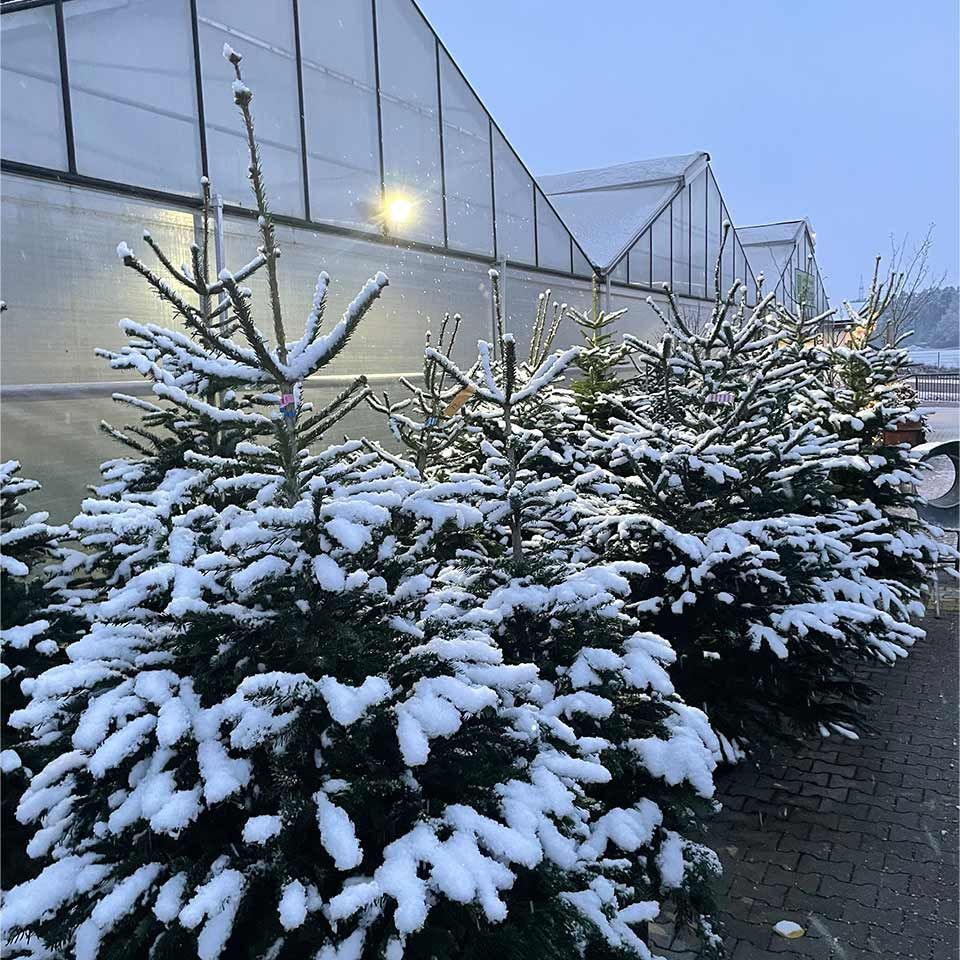 Garten & Floristik Prifling