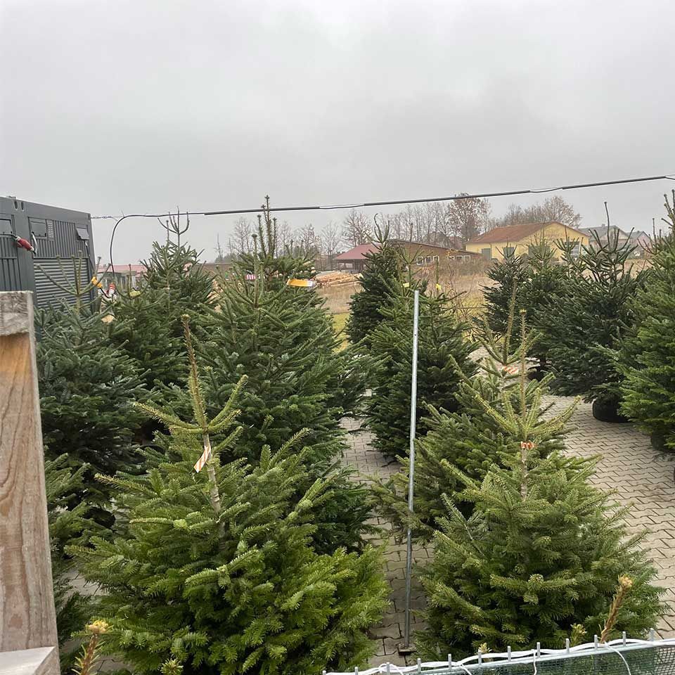 Garten & Floristik Prifling