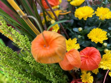 Orangefarbene chinesische Laternen mit gelben Chrysanthemen und grünem Laub.