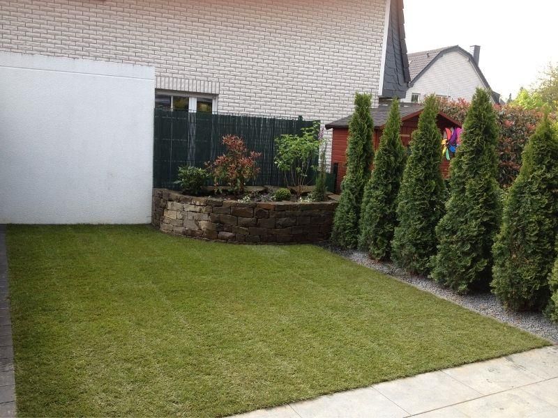 Ein Hinterhof mit viel Gras und Bäumen
