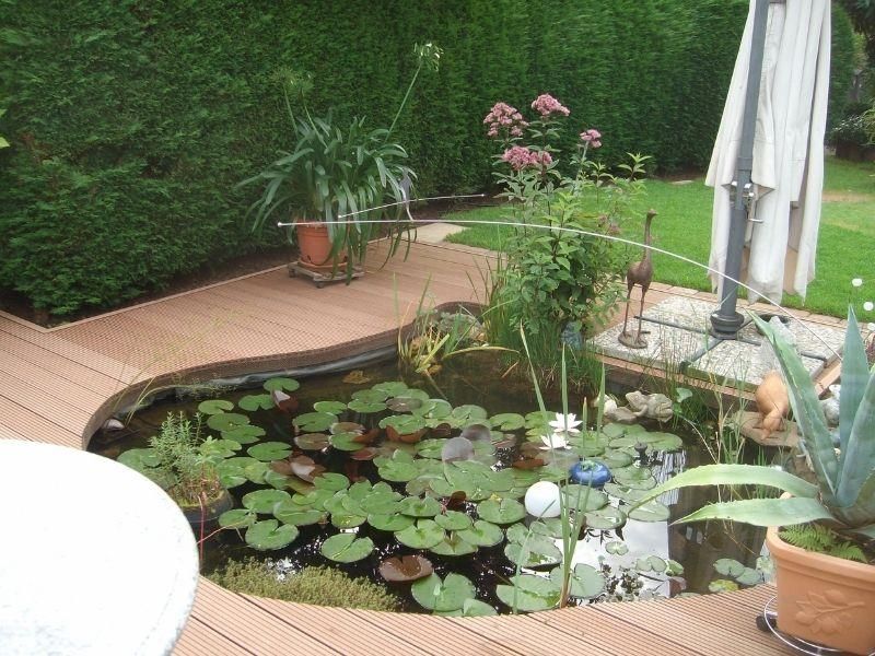 Auf einem Holzdeck befindet sich ein mit Seerosen gefüllter Teich.