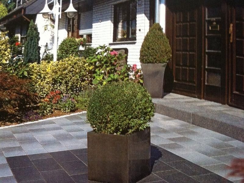 Eine Topfpflanze steht auf einer Terrasse vor einem Haus