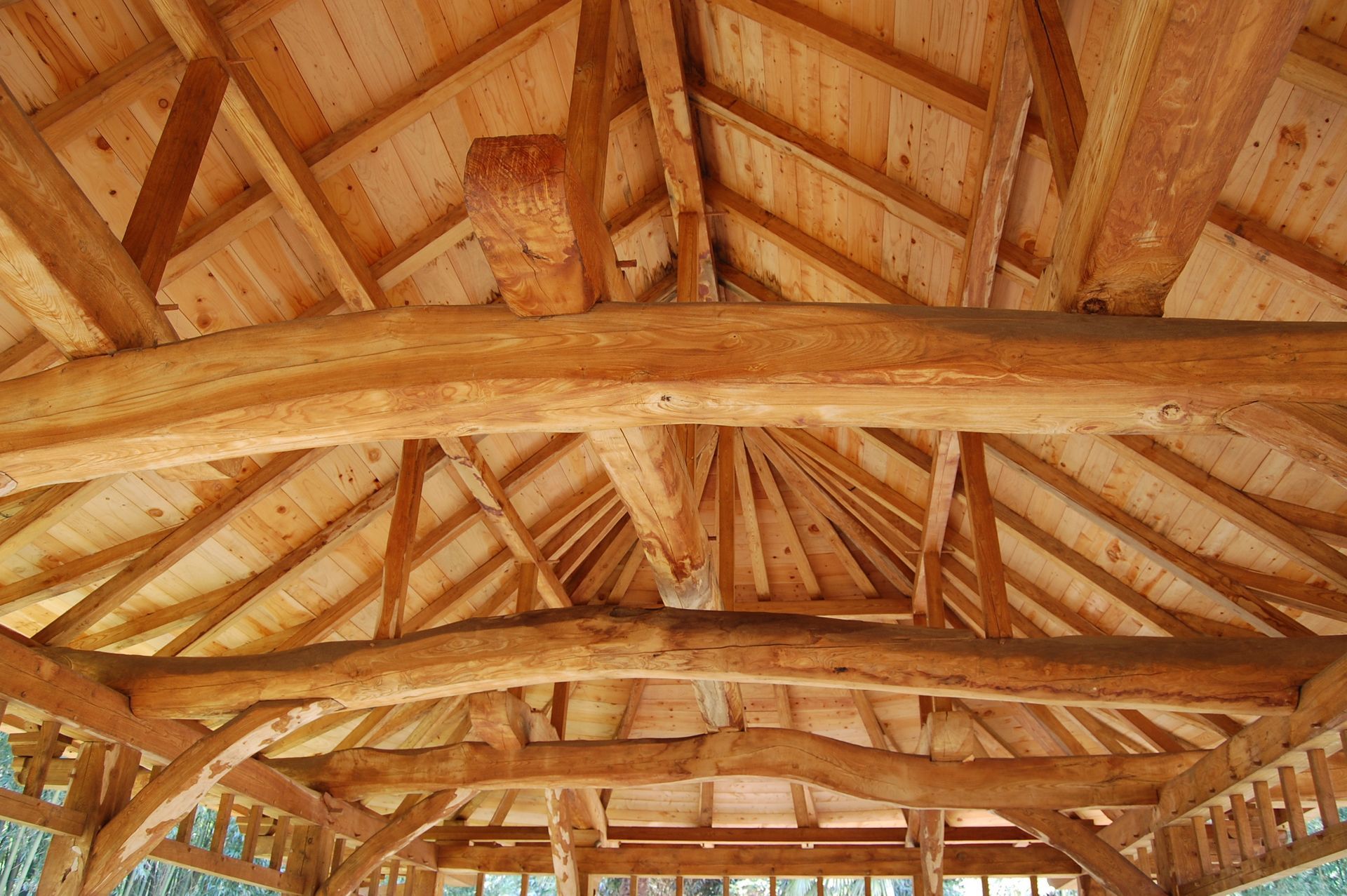 Plafond voûté en bois avec poutres et fermes apparentes dans un intérieur rustique