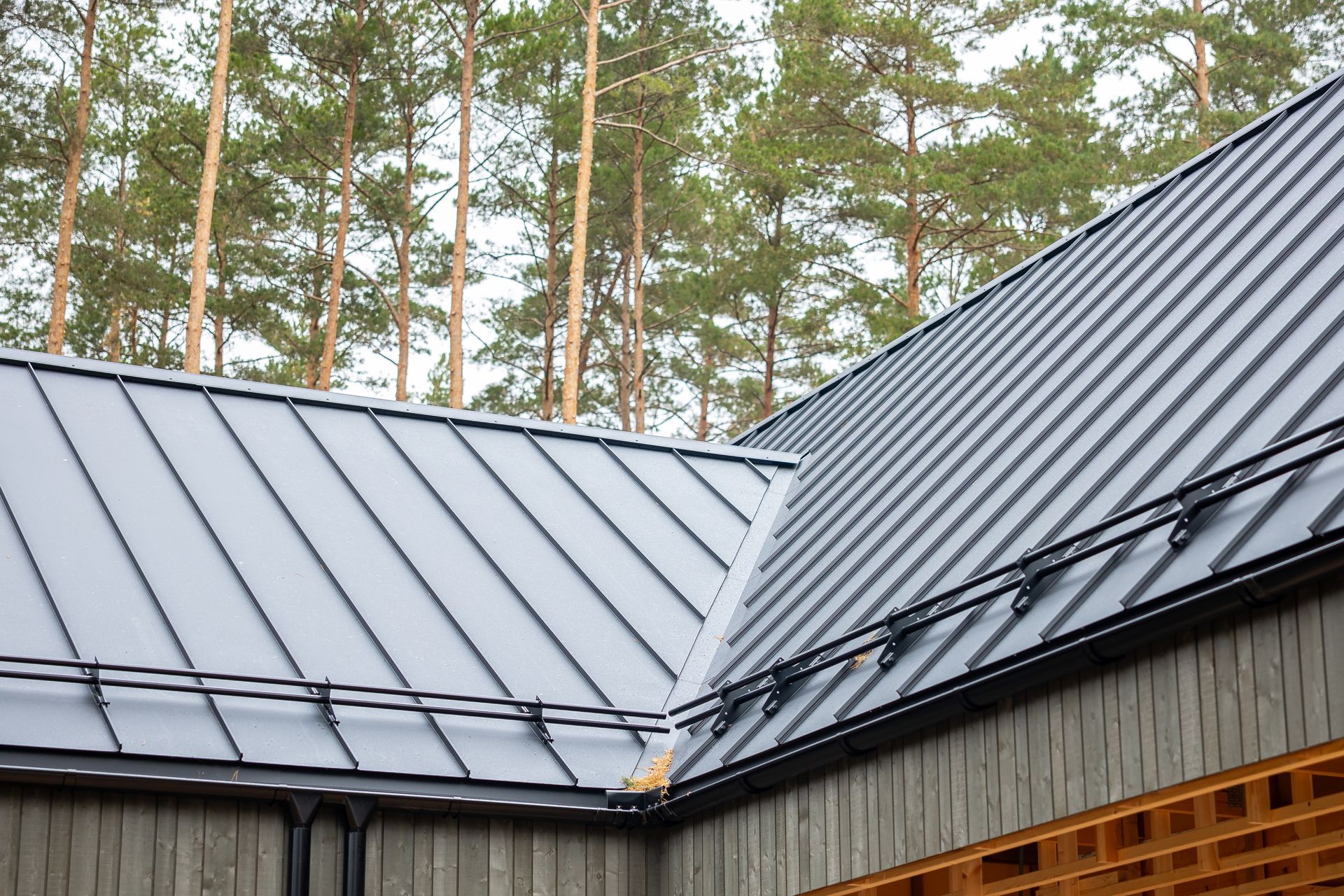 Toits en métal d’une cabane en bois entourée de grands pins