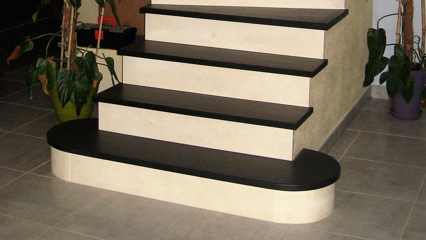 Escalier intérieur incurvé avec marches à revêtement et plantes en pot de chaque côté.