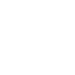 Icône qualité de service