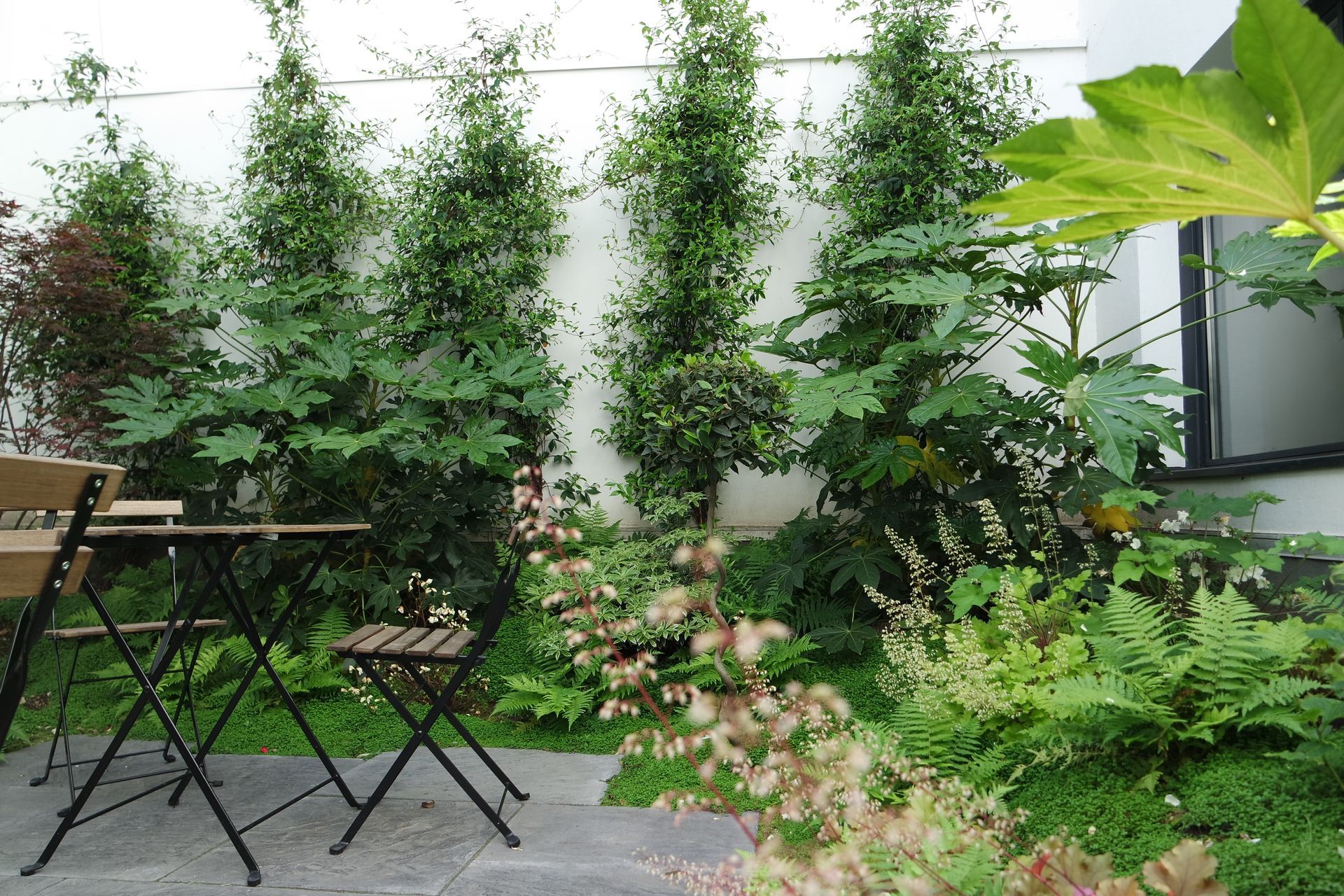 Un petit jardin avec des plantes vertes et une table avec des chaises