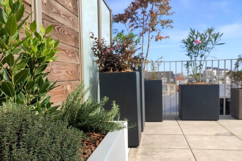 Terrasse bordée de bacs remplis d'arbustes