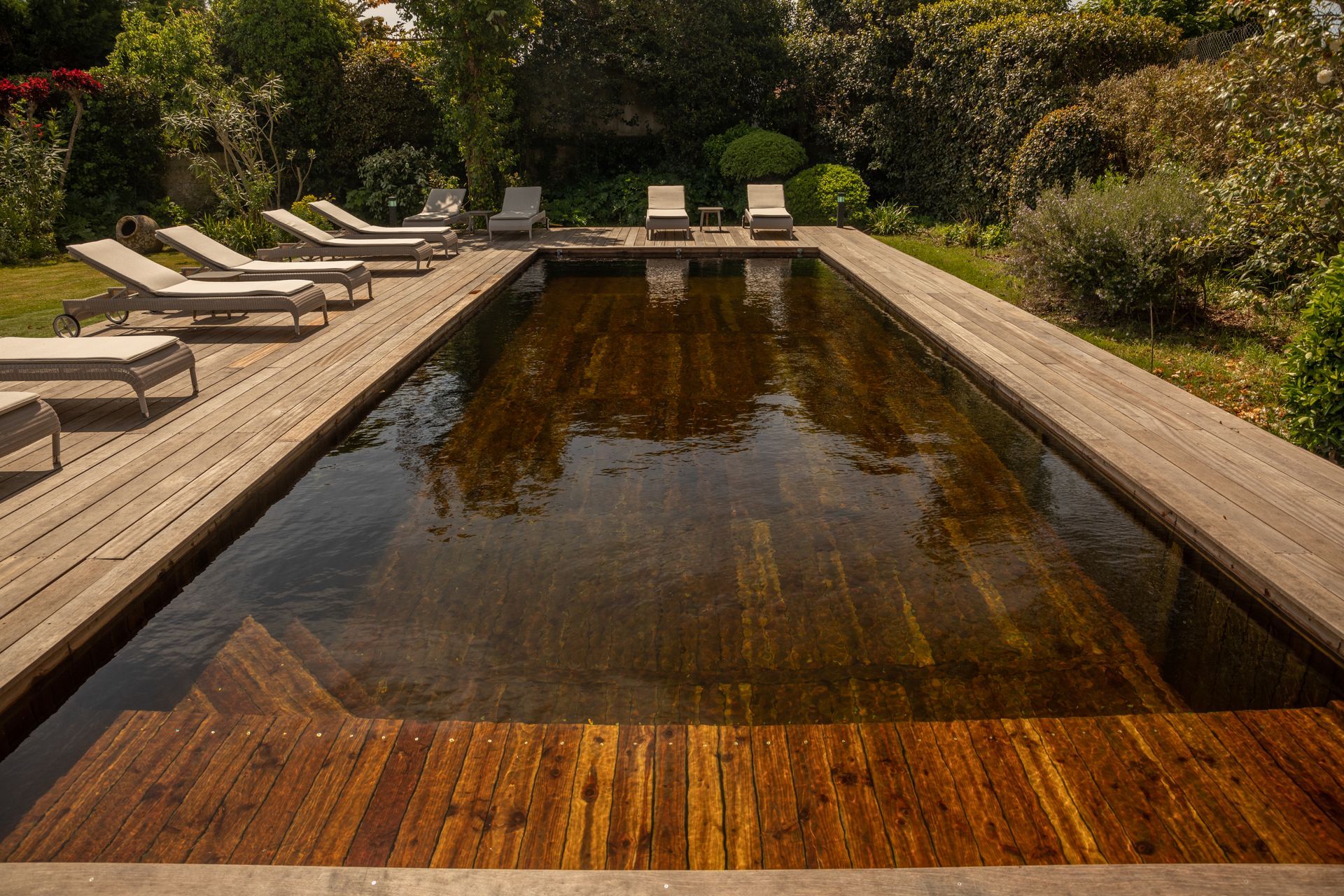 Piscine entourée de bois