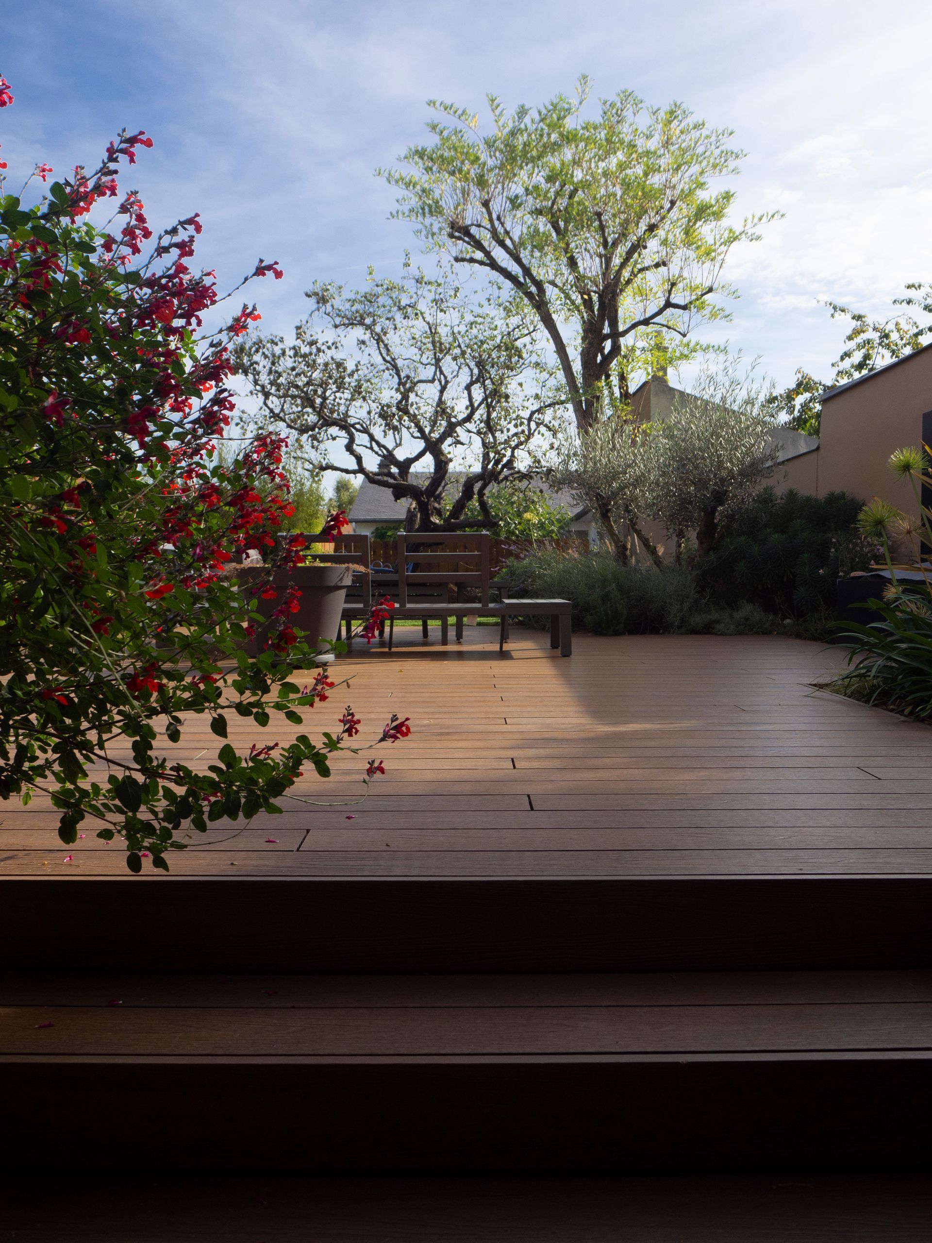Terrasse en bois avec des marches menant à un jardin comprenant un banc, des arbres et des buissons à fleurs rouges