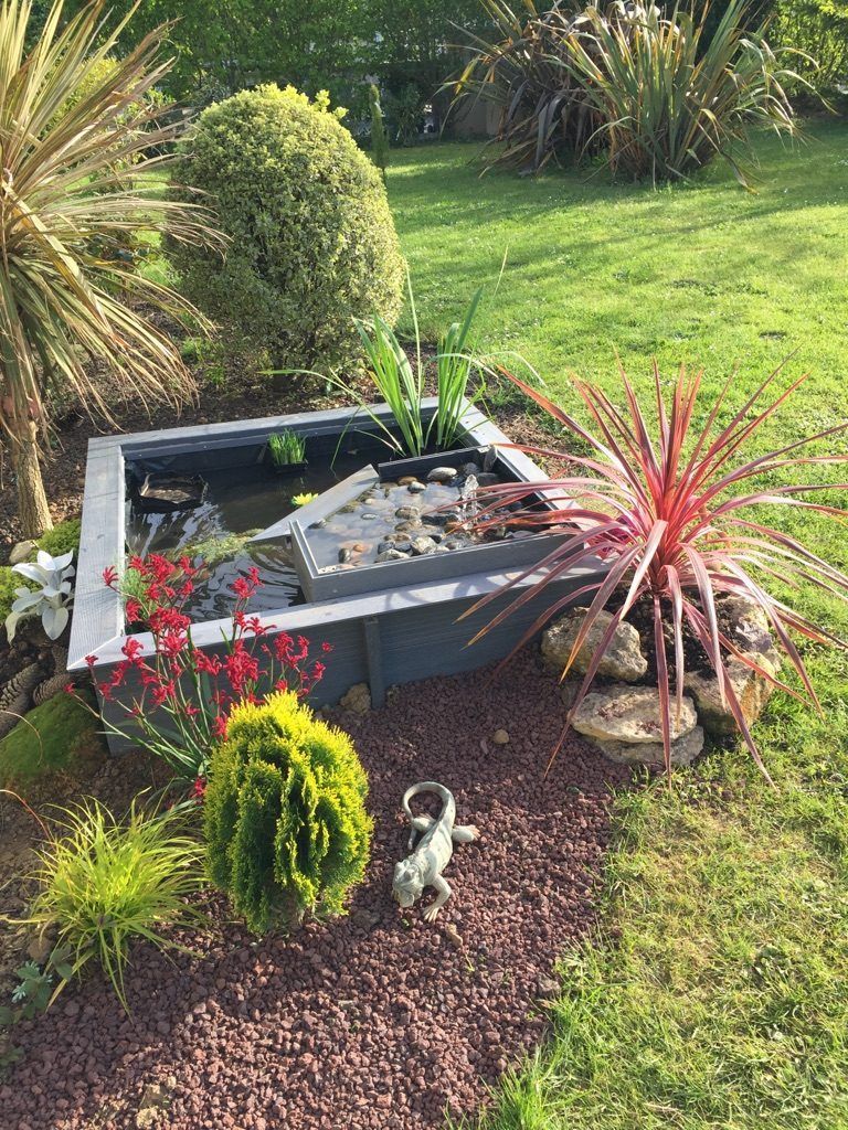 Un petit étang de jardin avec des roches rouges, entouré d'herbe verte et de diverses plantes.