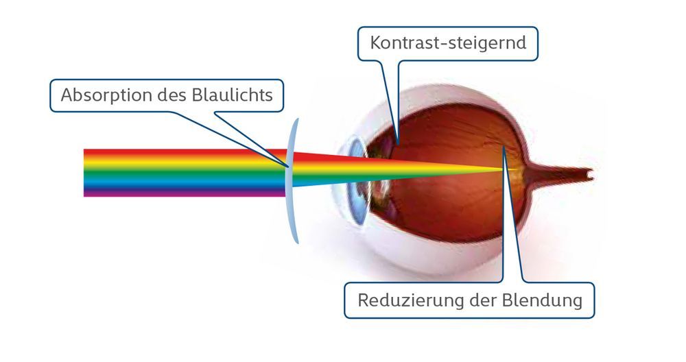 Optikergeschäft - BluStop-Technologie - Pochon Optik GmbH - Gümligen (BE)