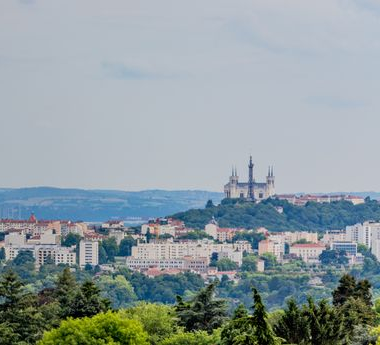 Panorama d'une zone urbaine près de la forêt