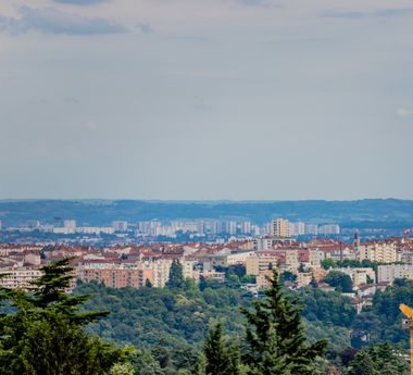 Panorama de forêt près d'une ville