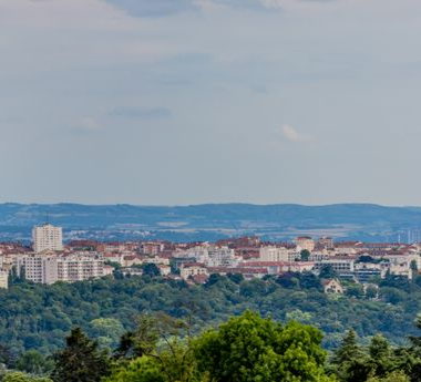 Panorama de ville près d'une forêt