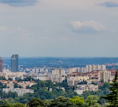Panorama de ville avec nature
