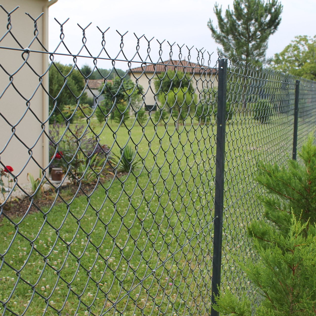Une clôture en grillage vert entoure une cour gazonnée. Des maisons et des arbres sont visibles à l'arrière-plan.