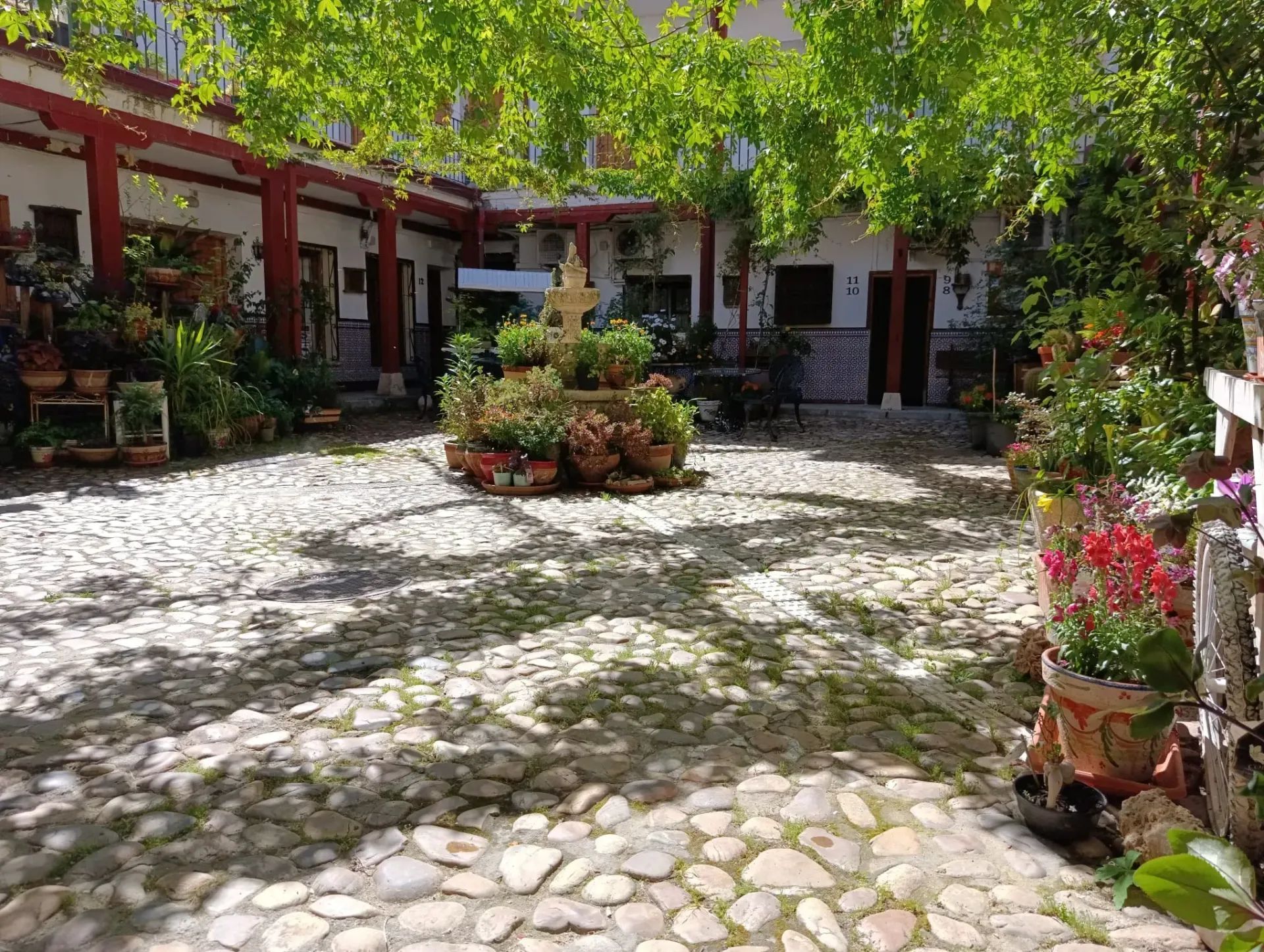 Patio con pavimento de adoquines, plantas en macetas y edificios con tejados rojos bajo árboles frondosos.