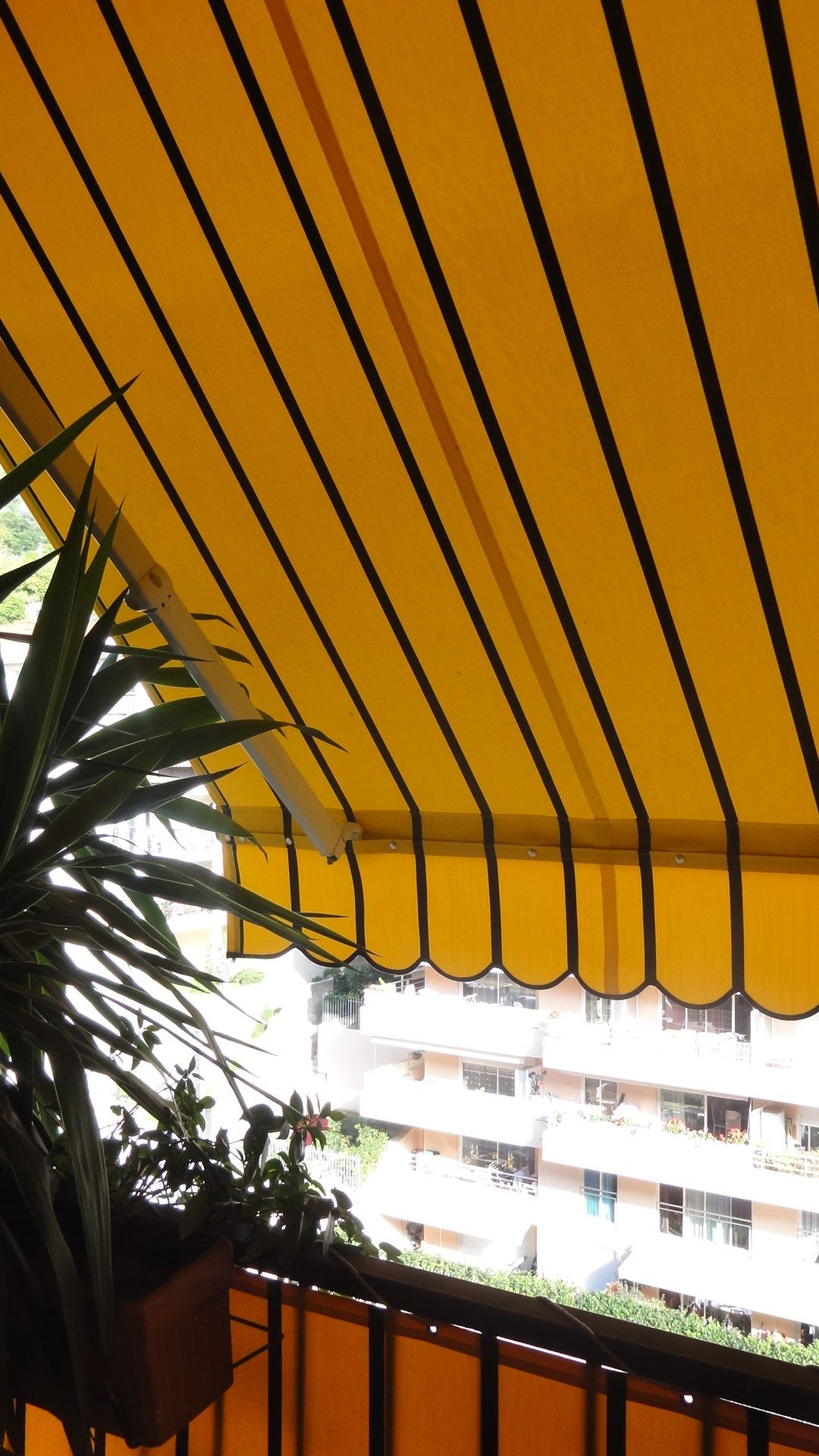 Store banne jaune à rayures