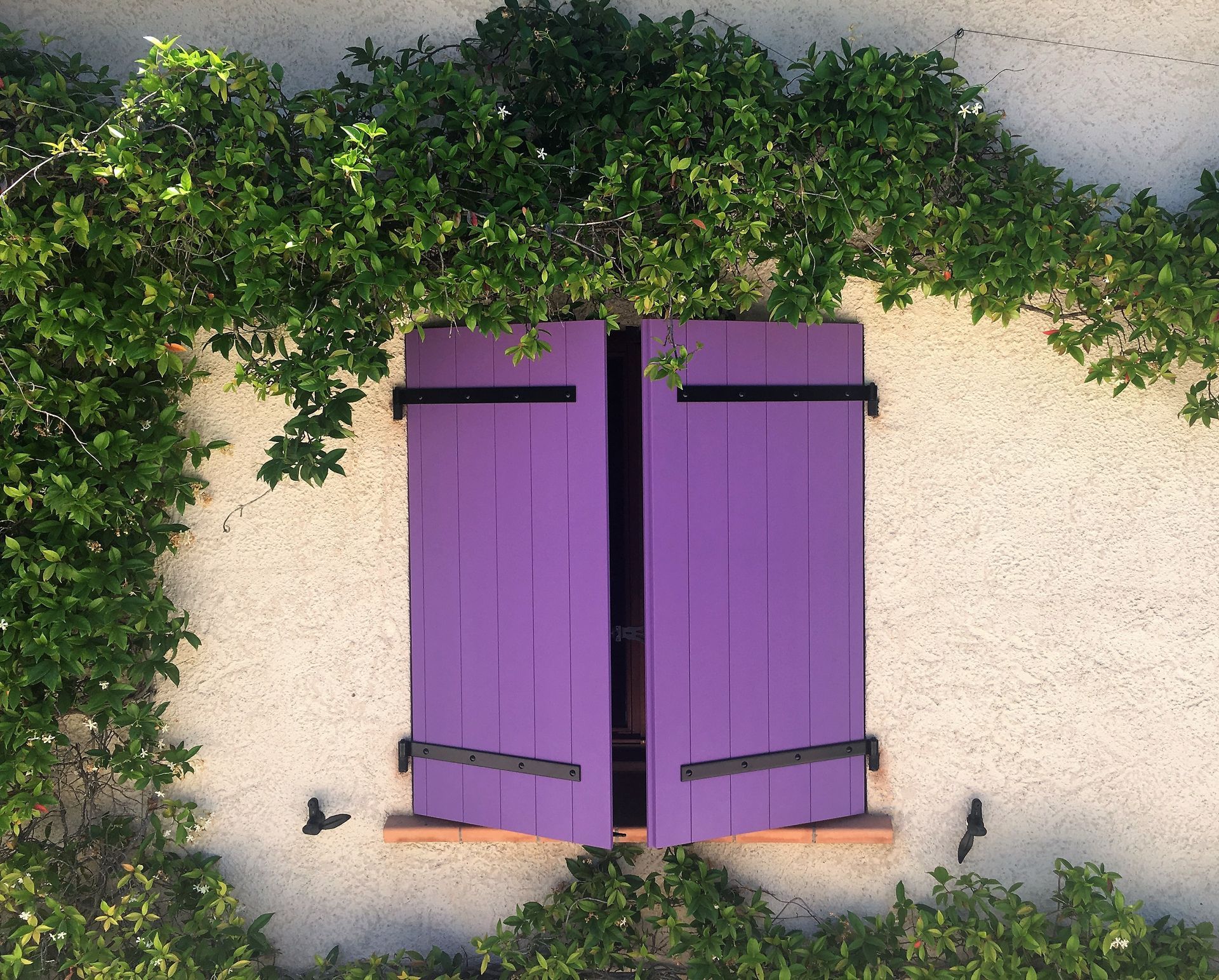 Rénovation de volets battants à Menton