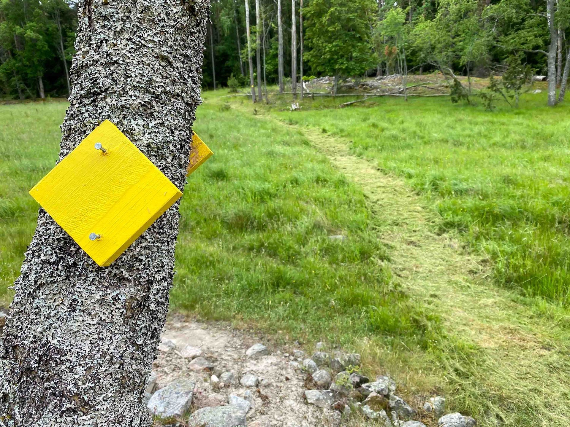 kuvastaja