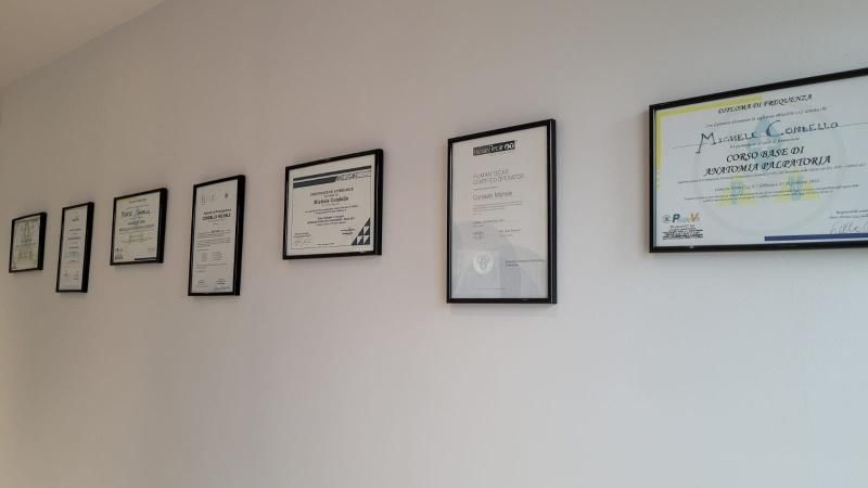 Diplomi del fisioterapista