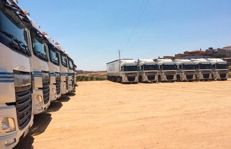 Una hilera de camiones de carga blancos estacionados en un terreno polvoriento bajo un cielo azul despejado.