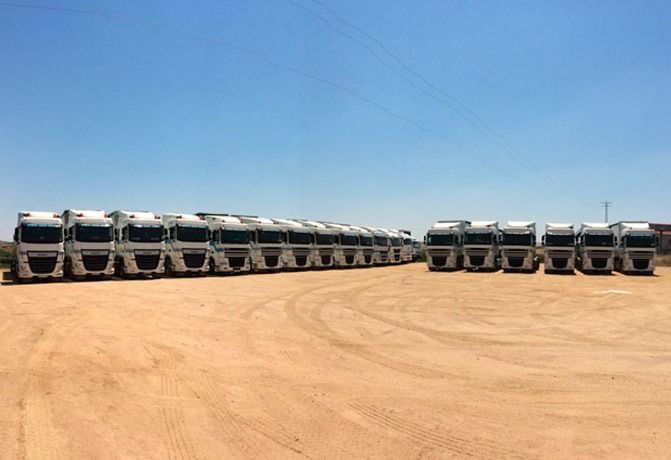 Filas de camiones blancos estacionados en un terreno de tierra bajo un cielo azul despejado.
