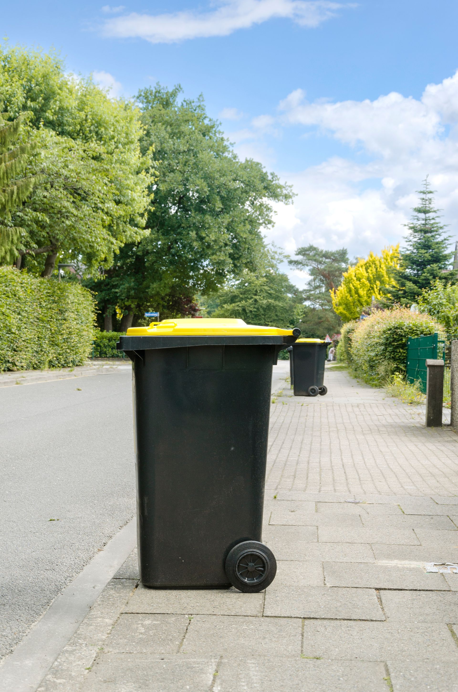 Une poubelle noire à couvercle jaune se trouvait sur un trottoir, au bord d'une route, sous des arbres et un ciel bleu.