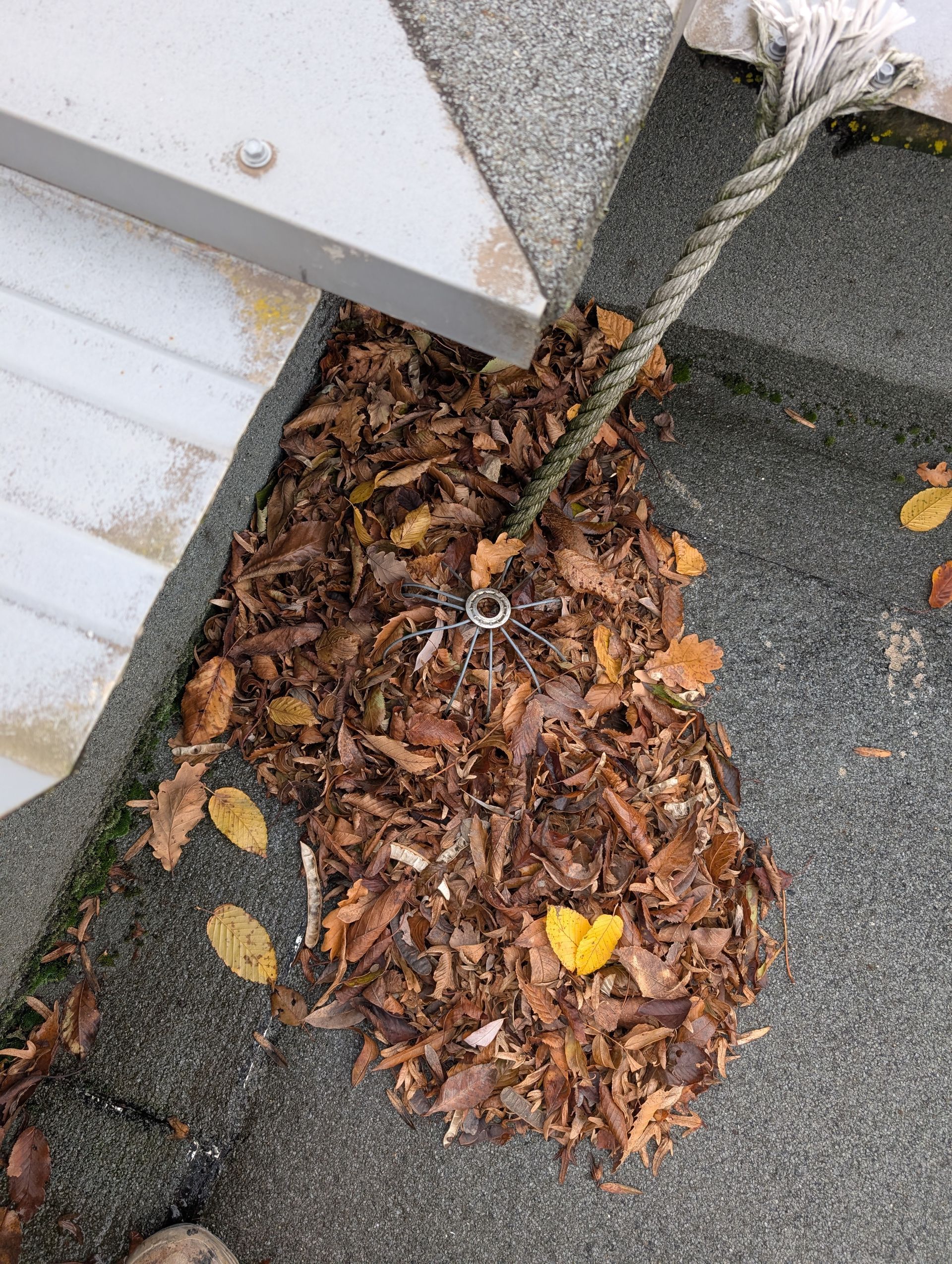 Un tas de feuilles mortes sur le sol d'un toit-terrasse.