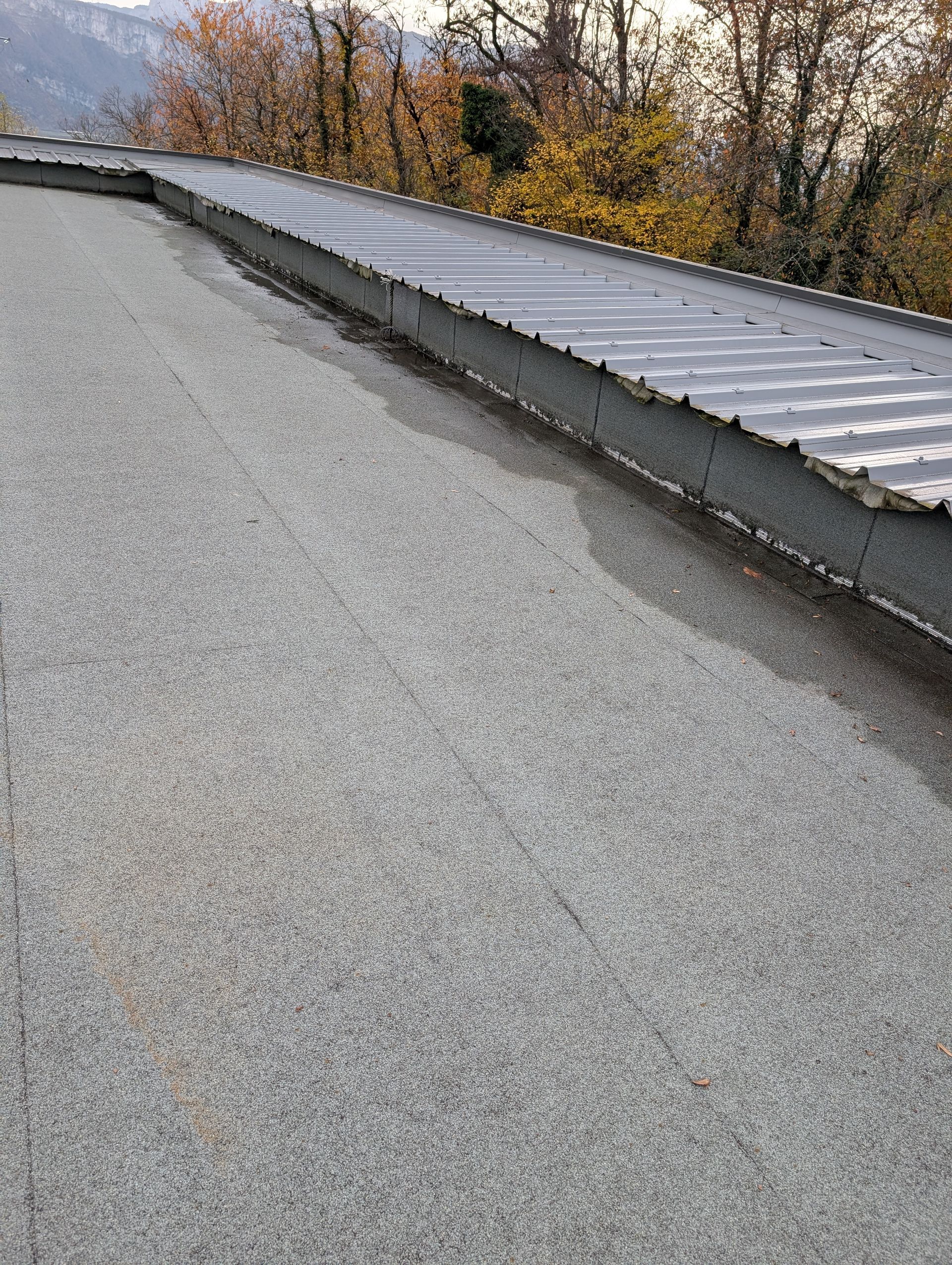 Une toiture plate recouverte d'une membrane d'étanchéité. Des arbres sont visibles à droite.