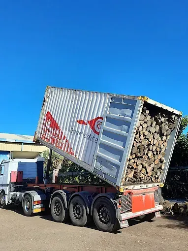 Un camión semirremolque transporta un contenedor de transporte lleno de troncos.