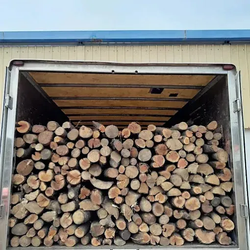 Una gran pila de troncos en la parte trasera de un camión.