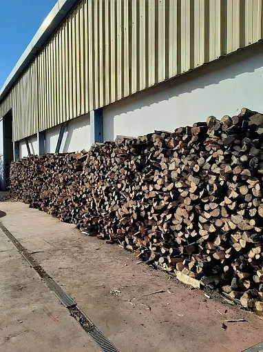 Una gran pila de troncos se encuentra frente a un edificio.