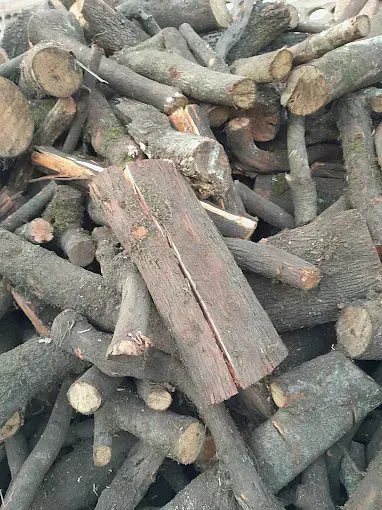 Una pila de troncos apilados uno encima del otro.