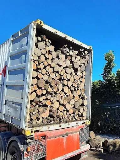 Un gran contenedor lleno de troncos está en la parte trasera de un camión.