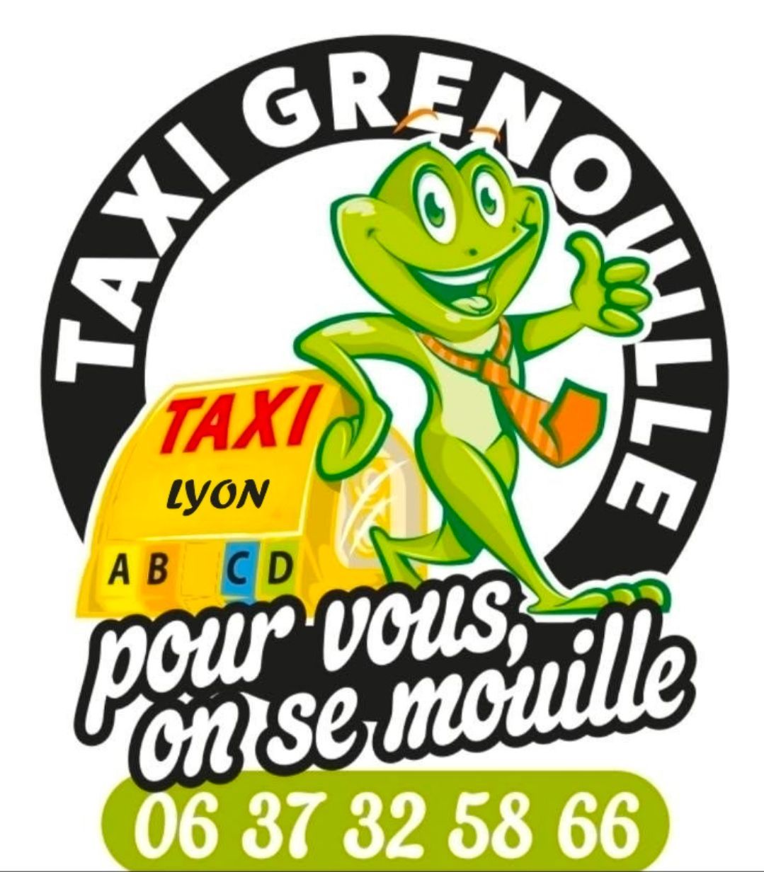 Page d'accueil Logo de l'entreprise Taxi Grenouille