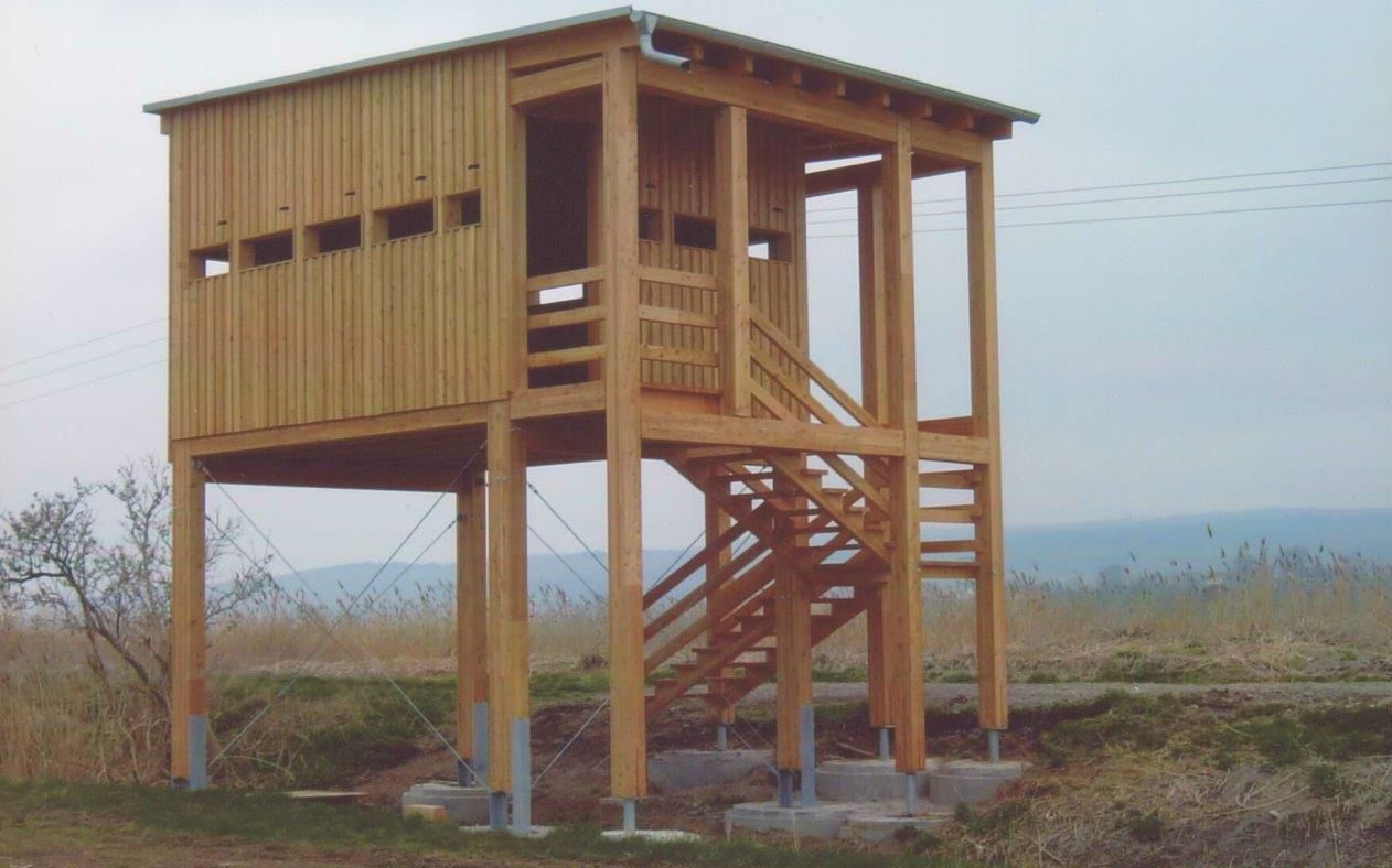 Haus aus Holz von Alpha GmbH