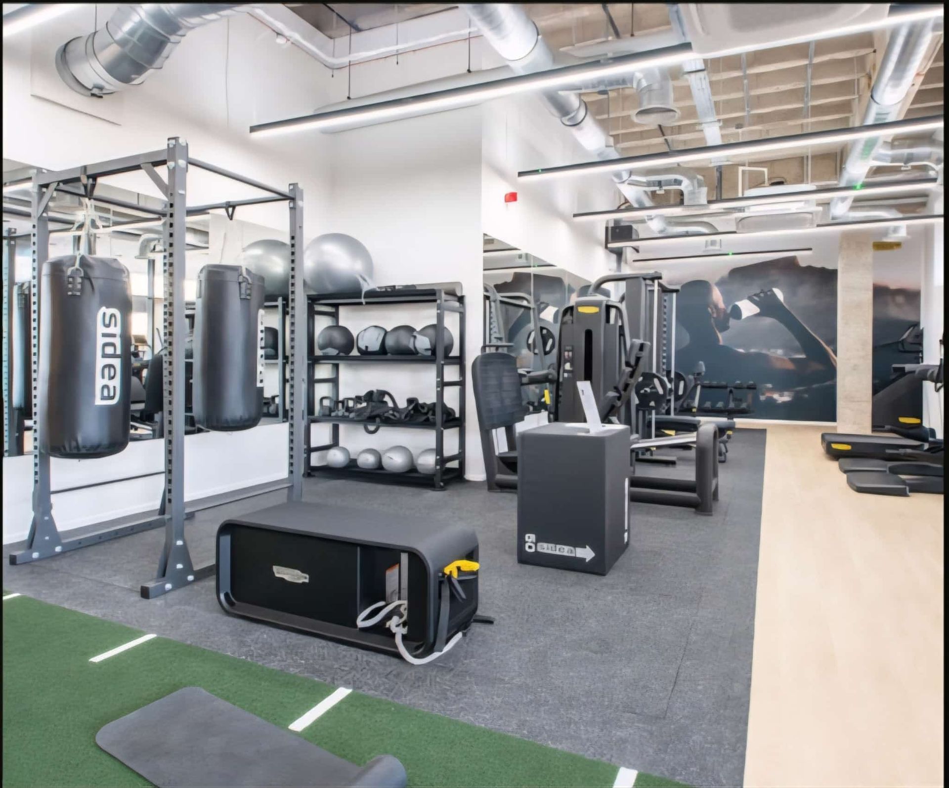 Gym interior with weights, machines, and a punching bag, featuring green turf, grey flooring, and a mountain mural.
