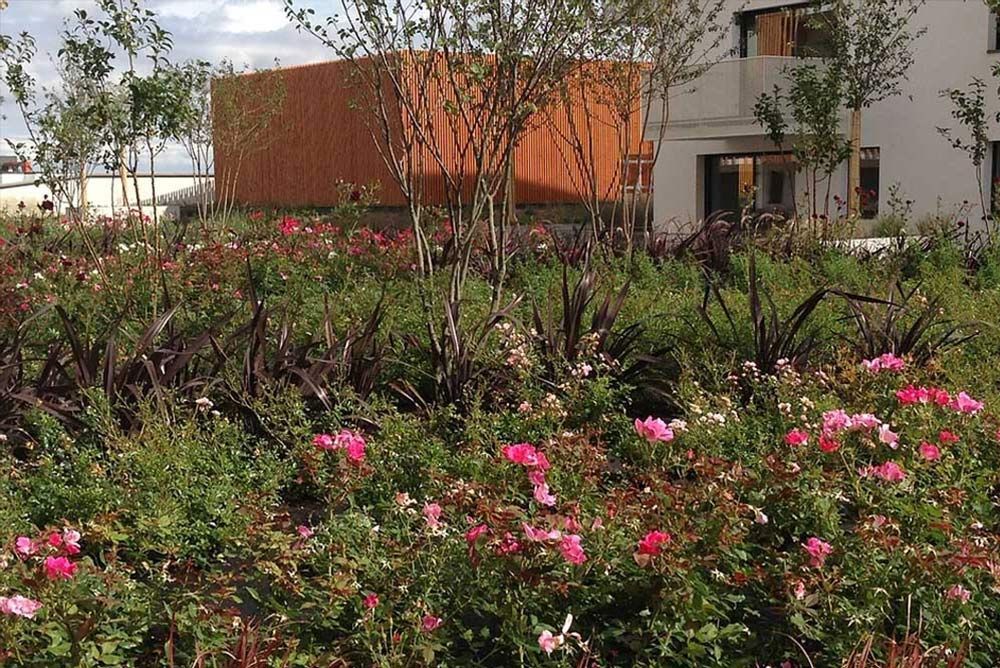 Végétation à l'île O Jardin à Toulouse