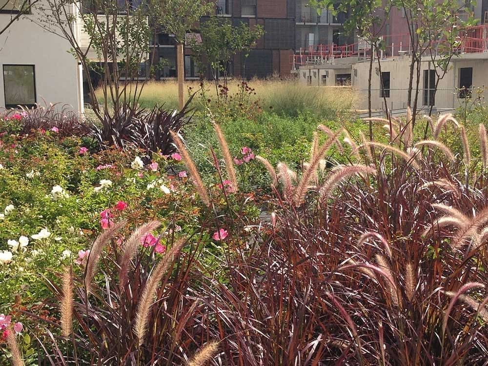 L'île O Jardins à Toulouse