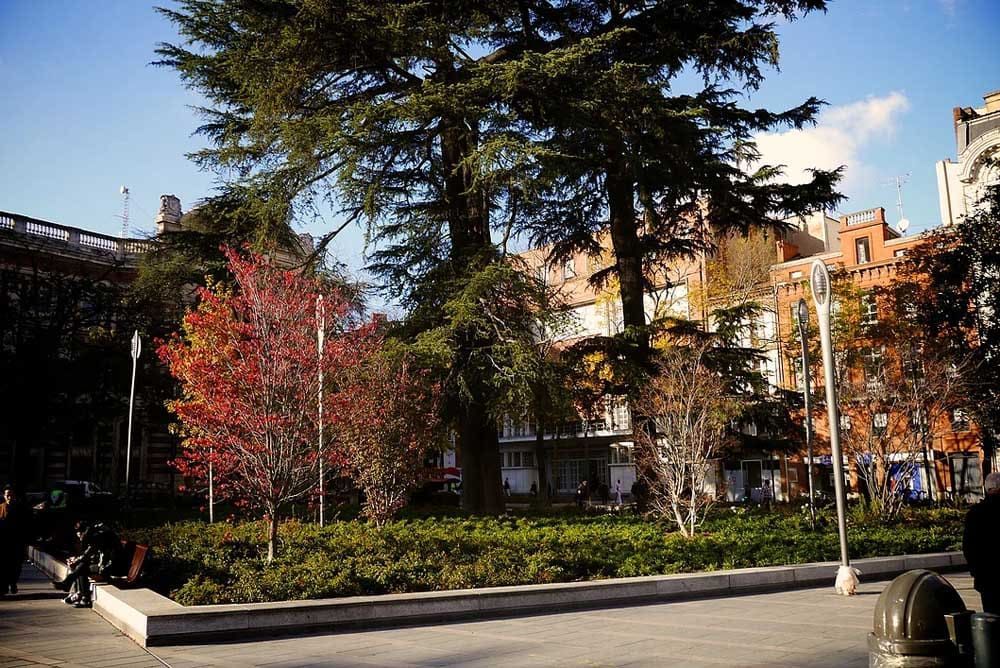 Place Donjon du Capitole à Toulouse