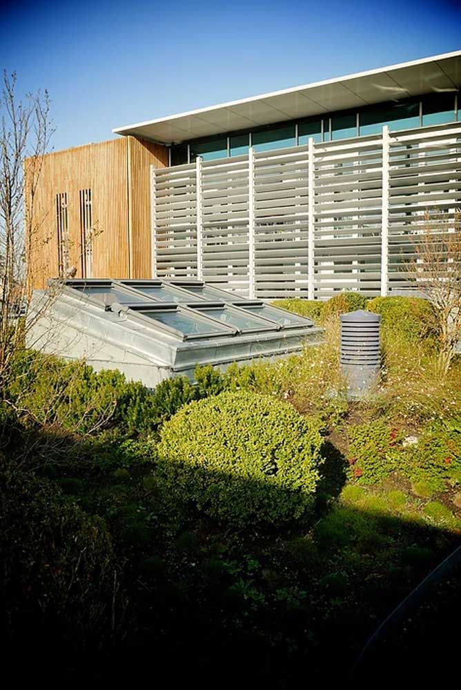 Toiture végétal de l'école des Ponts Jumeaux